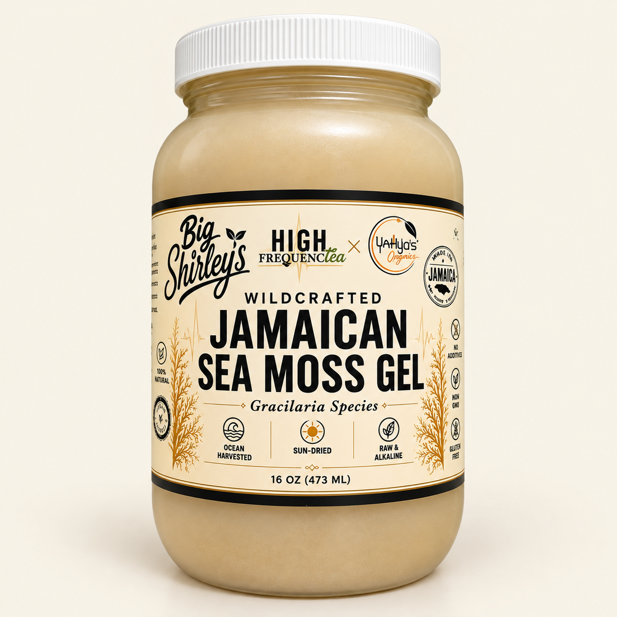 WILDCRAFTED JAMAICAN SEAMOSS *GEL*