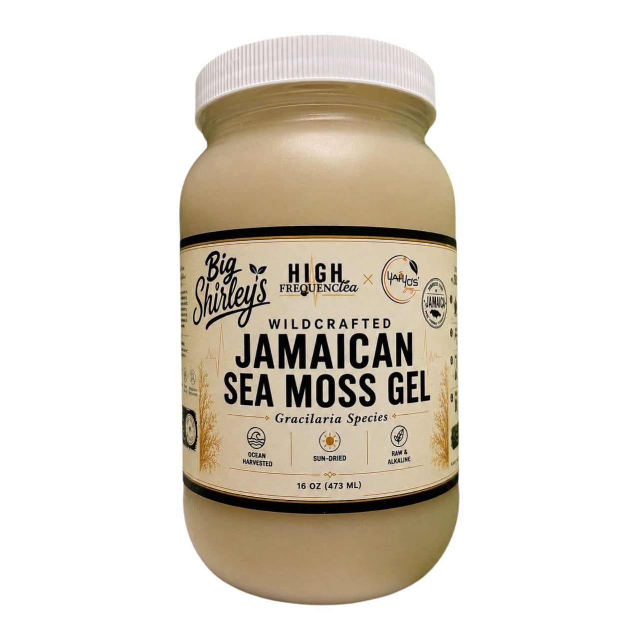 WILDCRAFTED JAMAICAN SEAMOSS *GEL*